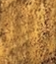 Oxide Gold