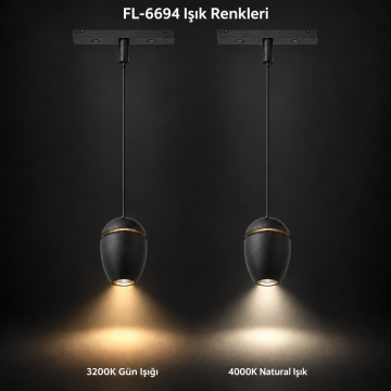 Forlife Klasik FL-6694 5W Oval Sarkıt Magnet Ray Aydınlatma Siyah Kasa