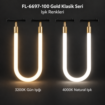 Forlife Klasik FL-6697-100 Gold Esnek Hortum Magnet Ray Aydınlatma