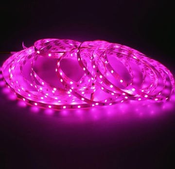 Noas 12 Volt İç Mekan Şerit Led Pembe Işık YL40-4008