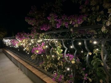 Saçak Led Yılbaşı Süsü 2 Metre 144 Ledli Yılbaşı Ağacı Süsü Fiş Tipi Siyah Kablo SNC-406