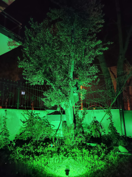 Led Ağaç Bahçe ve Peyzaj Aydınlatma Armatürü 54 Watt