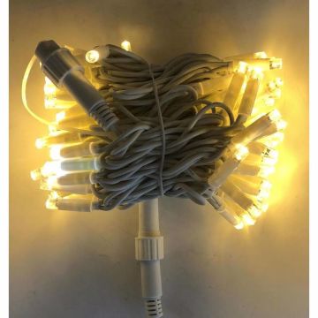 Cata 10 Metre Eklenebilir Süsleme 100 Ledli 10 Led Flashlı ct-8501