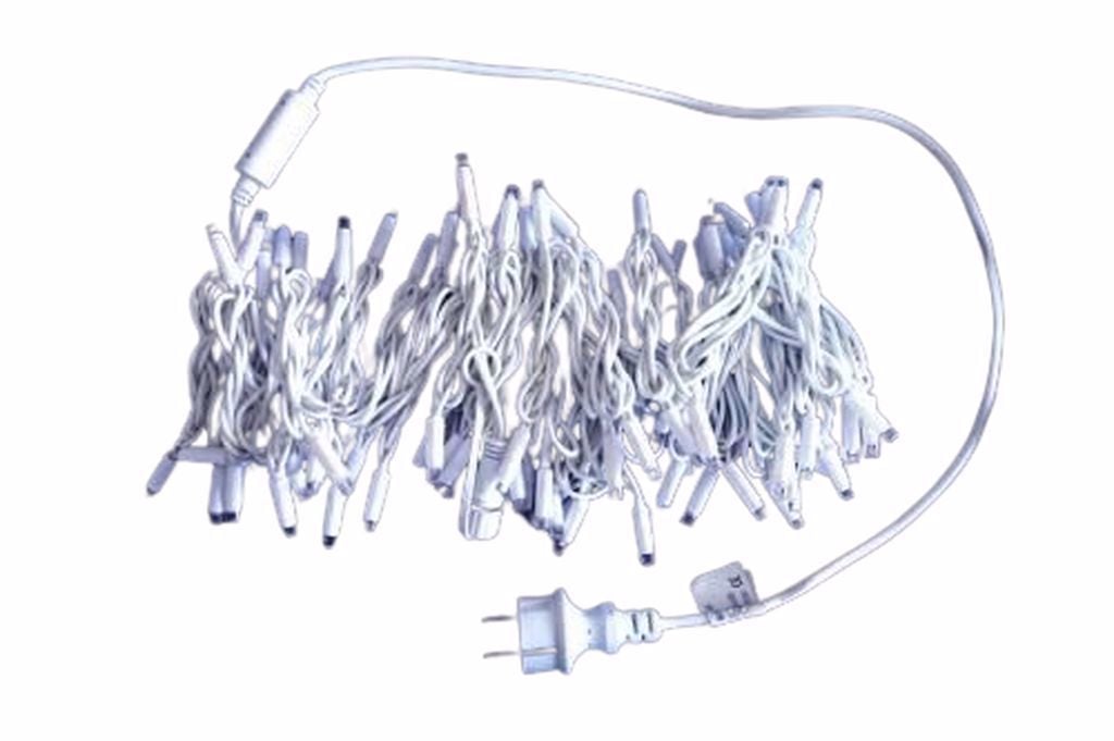 Cata 10 Metre Eklenebilir Süsleme 100 Ledli 10 Led Flashlı ct-8501