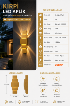 Kirpi 8 Watt Gold Kasa Led Gün Işığı Duvar Aplik