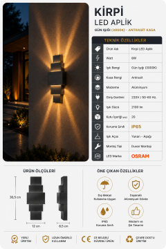 Kirpi 8 Watt Antrasit Kasa Led Gün Işığı Duvar Aplik