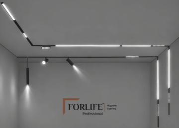 Forlife Magfit FL-6273 3 Metre Sıva Altı Yaylı Magnet Ray Siyah Kasa