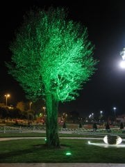 Osram Led 100 Watt Led Projektör Aydınlatma Armatürü YEŞİL