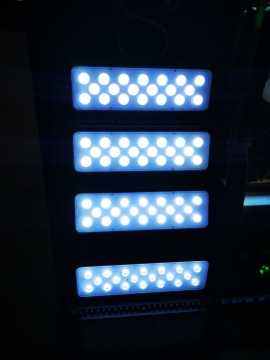 Osram Led 200 Watt Led Projektör Aydınlatma Armatürü KIRMIZI