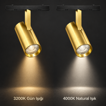 Forlife Magfit FL-6231 10W Spot Magnet Ray Aydınlatma Gold Kasa