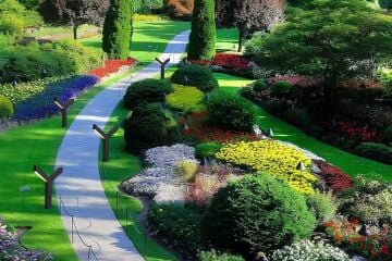 Kayı Dış Mekan Çift Kollu Bahçe Aydınlatma Direği 85 Cm