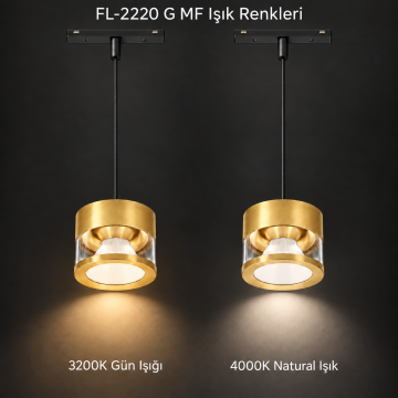 Forlife Magfit FL-2220 G MF 9W Sarkıt Avize Magnet Ray Aydınlatma Gold Kasa